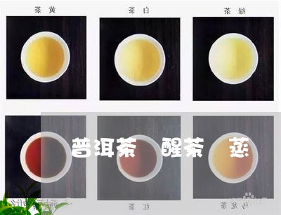 普洱茶 醒茶 蒸/2023041210404